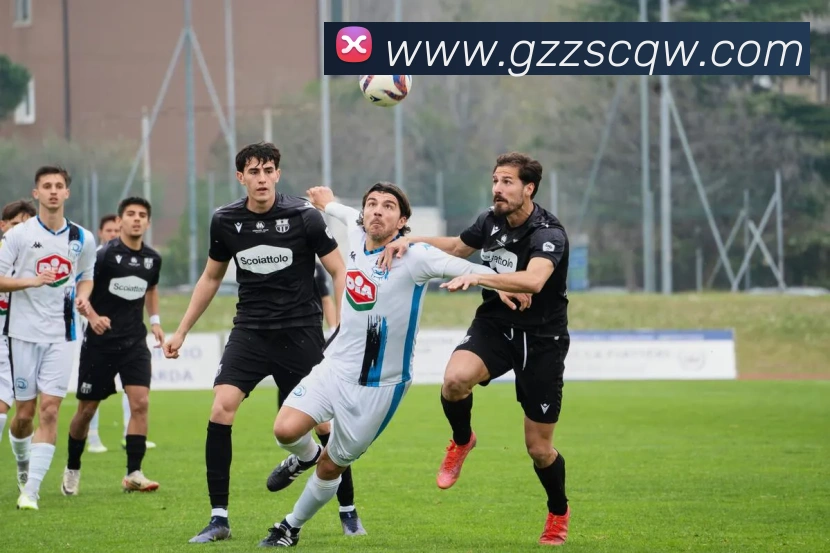 开云APP 体育赛事宣传图