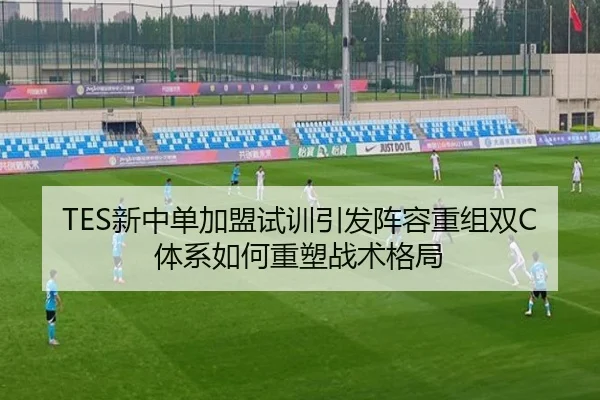 TES新中单加盟试训引发阵容重组双C体系如何重塑战术格局